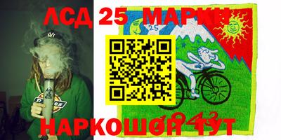 трава Гатчина