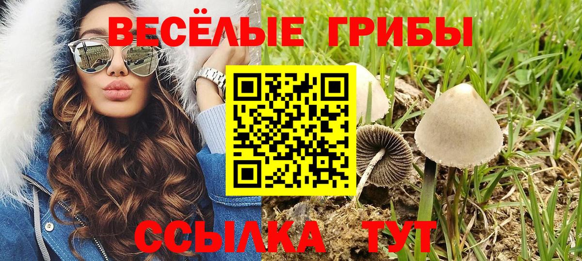 Галлюциногенные грибы Magic Shrooms  Галлюциногенные грибы Cubensis  Десногорск  Вход с VPN 